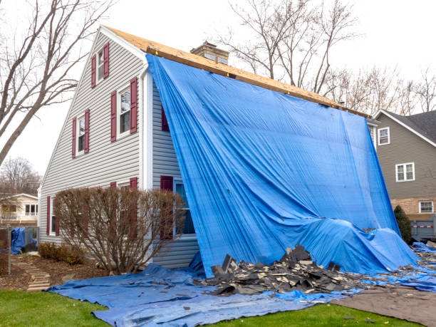 Best Hoarding Cleanup  in Gladstone, MO